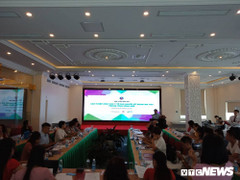 46% người nghiện ở Việt Nam sử dụng ma tuý tổng hợp