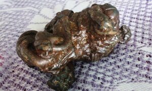 Mổ dê cái, phát hiện 7 'vật thể lạ' nghi là vị thuốc sinh lý quý hiếm