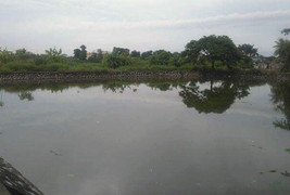 Rủ nhau ra hồ chơi, hai cháu bé chết đuối thương tâm