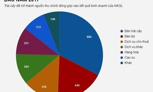 Bầu Đức 'bốc hơi' 118 tỷ vì... lỗi đánh máy