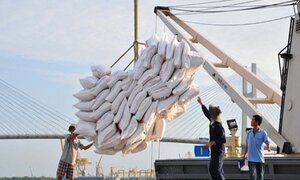 Sáu hệ lụy từ sự vô lý của nhiều điều kiện kinh doanh