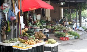 Hà Nội sẽ kiểm soát được xuất xứ trái cây
