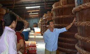 Nước mắm truyền thống lo sốt vó vì… muối iốt
