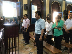 Dẫn xuất của vitamin A có thể giết chết tế bào gốc gây ung thư gan