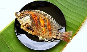 Thực chất ăn thịt hay ăn cá tốt hơn?