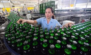 Vì sao Bộ Tài chính phải ra 'tối hậu thư' cho Bộ Công thương về cáo bạch Sabeco, Habeco?