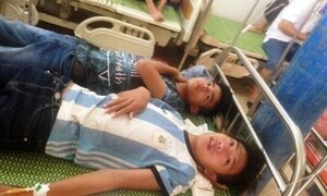 Bị ong rừng tấn công bất ngờ, 15 học sinh phải nhập viện cấp cứu