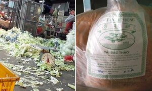 Ăn cải bắc thảo làm từ rác có thể gây chết người?