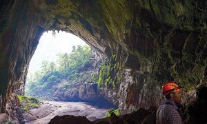 Xem xét kiến nghị dừng xây cáp treo ở Phong Nha - Kẻ Bàng