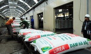 Lên sàn không có thanh khoản, Đạm Hà Bắc ôm khoản lỗ hơn 2.200 tỷ đồng