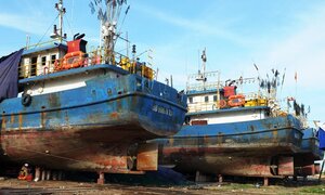 Kỷ luật hàng loạt sếp đăng kiểm vụ tàu cá 20 tỷ đồng hư hỏng