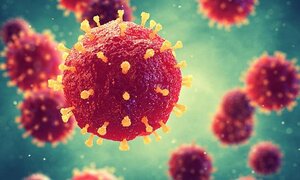 Bùng phát virus gây tử vong nguy hiểm như Ebola