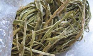 Rau cần biển là rau gì mà đắt tới 500.000 đồng/kg, xếp hàng nửa tháng chờ mua?