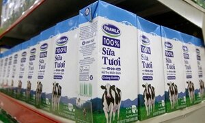 Trả giá ‘ngất ngưởng’ 186.000 đồng/cổ phiếu, tổ chức nước ngoài ôm trọn 3,33% vốn Vinamilk