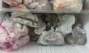 Cách sử dụng túi nilon bảo quản thức ăn trong tủ lạnh tránh bệnh tật
