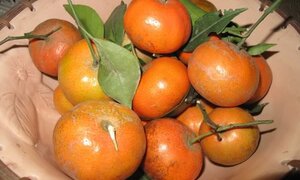 Mỗi ngày bạn phải ăn bao nhiêu rau quả để đủ Vitamin?