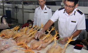 95% thực phẩm nhập khẩu không phải kiểm tra chuyên ngành