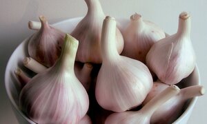 Những loại thực phẩm phòng ngừa cảm lạnh tuyệt vời trong mùa đông