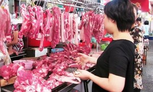 Thịt, thủy sản bán ở nhiều chợ phía Nam nhiễm vi khuẩn đáng sợ