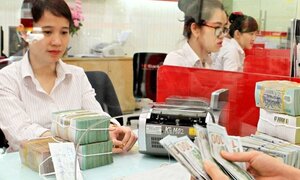 Cựu lãnh đạo bị khởi tố, Cao su Đồng Nai hủy đấu giá cổ phần HDBank