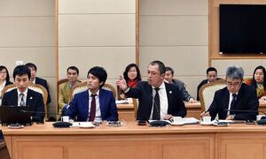 Nhập hàng ngàn ô tô cũ mông má thành ‘cô gái 18’