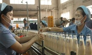 Vì sao nước giải khát Tribeco 'gặp hạn'?