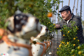 Mùng 1 mới về quê ăn Tết, vẫn rồng rắn xếp hàng chờ đi máy bay