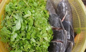 Đừng nấu 9 rau củ này với cá