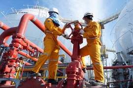 Hàng loạt doanh nghiệp niêm yết bị truy thu thuế, lên tới cả trăm tỷ đồng