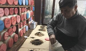 Làm thế nào để giữ ấm khi thời tiết dưới 10 độ C?