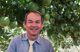 Lợi nhuận nghìn tỷ, nợ vay giảm mạnh, HAGL qua ‘cơn bĩ cực’?