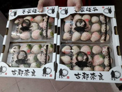 Dâu tây Bạch Tuyết 3 triệu đồng/kg vẫn đắt hàng