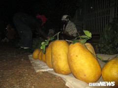 Mộc mạc chợ quê ngày Tết: Hối hả họp chợ lúc 0 giờ