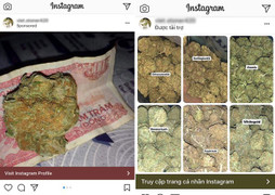 Quảng cáo cần sa, mại dâm công khai trên Instagram