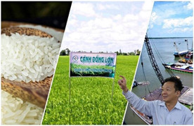 Loạt tranh chấp giữa HDTC và khách hàng, đối tác sau cổ phần hóa