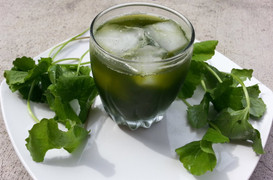 Giải độc lá ngón thế nào để giảm nguy cơ mất mạng?