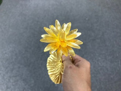 Hoa súng vàng nguyên khối đại gia mua tặng vợ đặc biệt cỡ nào