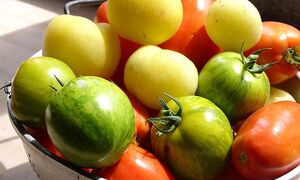 7 loại rau quả giá rẻ mùa hè phòng chống ung thư