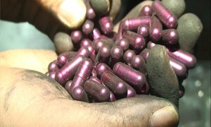 Uống than tre trị ung thư: Tác dụng không có thật