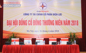 Công ty Tài chính Cổ phần Điện lực tổ chức thành công Đại hội đồng cổ đông thường niên năm 2018