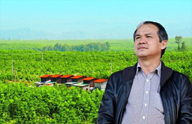 Bầu Đức chỉ mua được 1/4 số cổ phiếu HAG đăng ký do chưa kịp thu xếp tiền