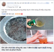 Thực hư việc dùng 1 lon bia uống dở có thể diệt sạch muỗi trong nhà?