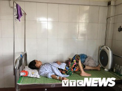 Đi qua tổ ong vò vẽ đầu thôn, 10 người bị đốt nhập viện