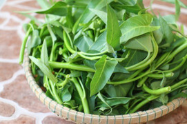 Phân biệt rau muống 'ngậm' hóa chất, nhờ đặc điểm dễ nhận thấy này