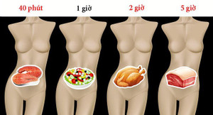 Mất bao lâu để tiêu hóa hết thực phẩm ăn hàng ngày?