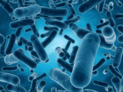 Liệu pháp mới cứu bệnh nhân ung thư giai đoạn cuối