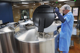 Bán nhà chữa bệnh nan y và 5 lầm tưởng chết người về sự kỳ diệu của tế bào gốc