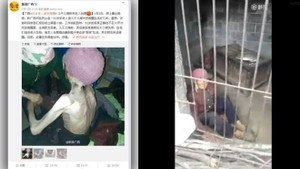 Trung Quốc: Con dâu, con đẻ nhốt cụ bà 92 tuổi 'chuồng' gây phẫn nộ