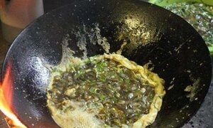 Ghê rợn cách chữa bệnh bằng nòng nọc sống, món canh nòng nọc