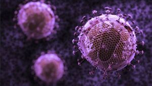Phát hiện kháng thể mới chữa được 99% các thể HIV